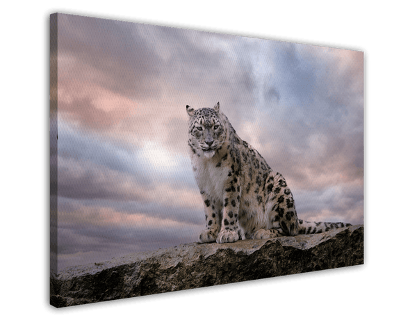 Schneeleopard