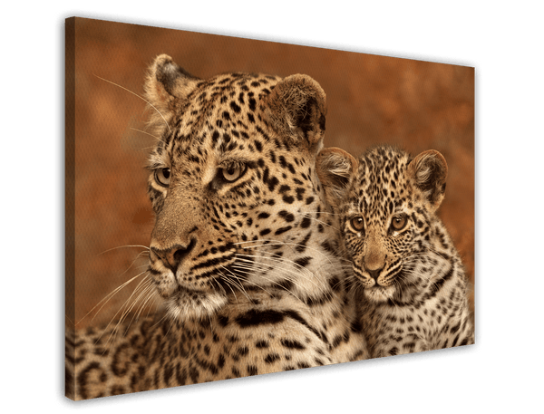 Leoparden-Familie