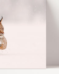 After Hover: Springender Luchs im Schnee