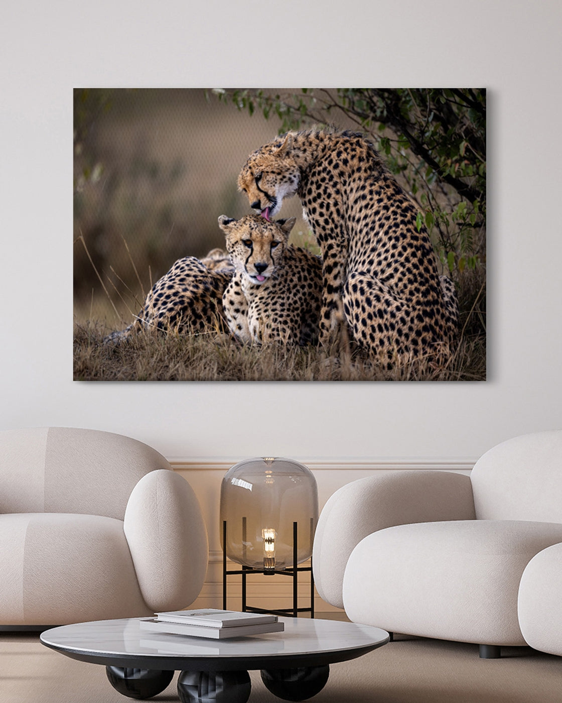 stretched-canvas