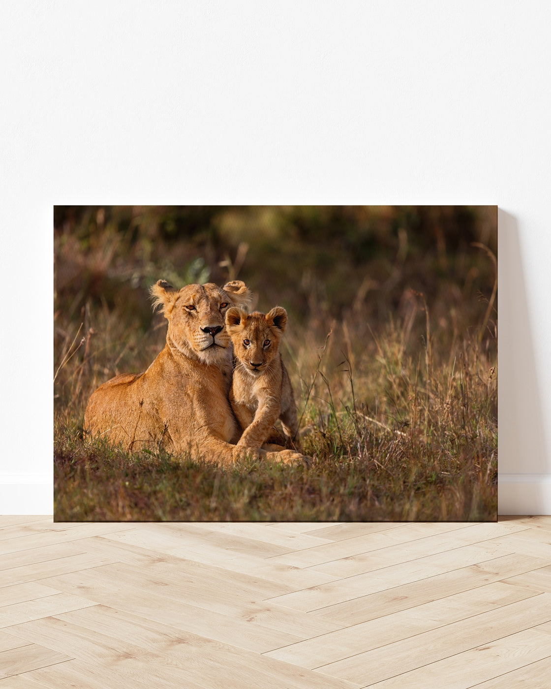 stretched-canvas