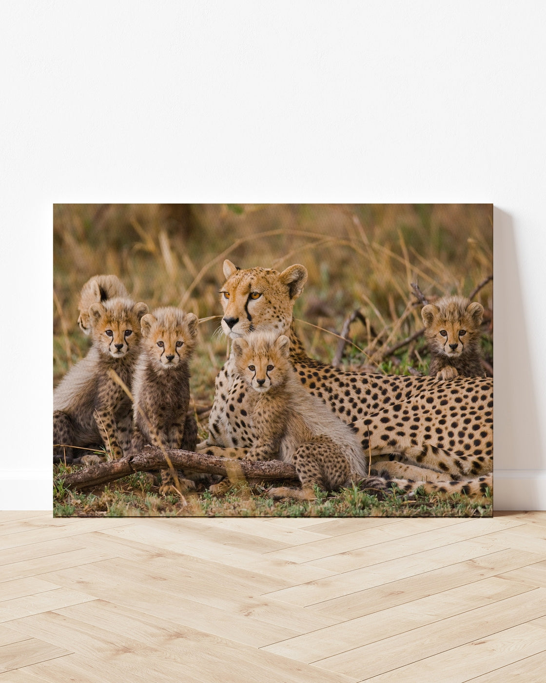stretched-canvas