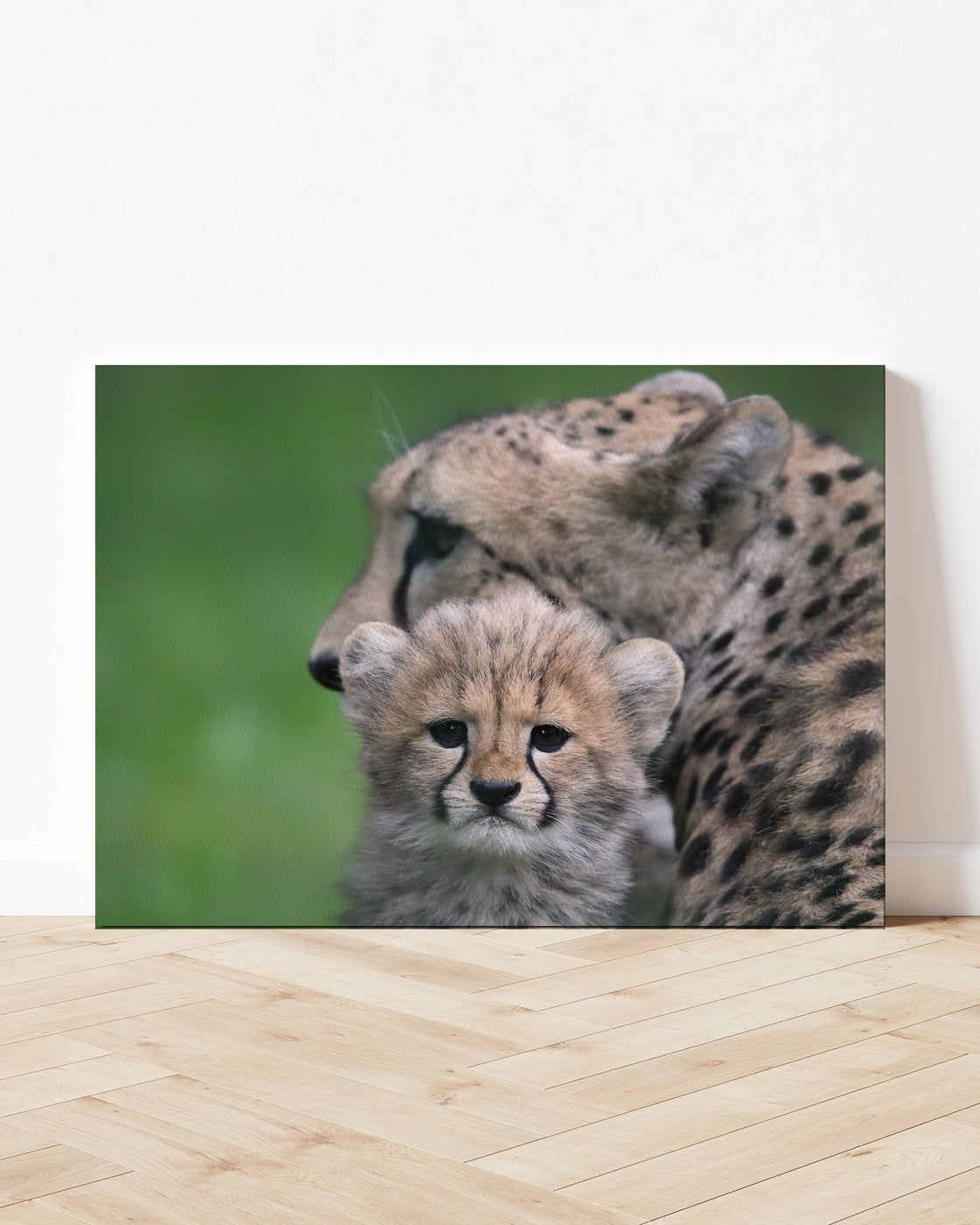 stretched-canvas