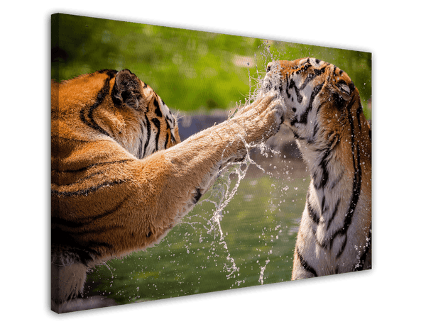 Spielende Tiger
