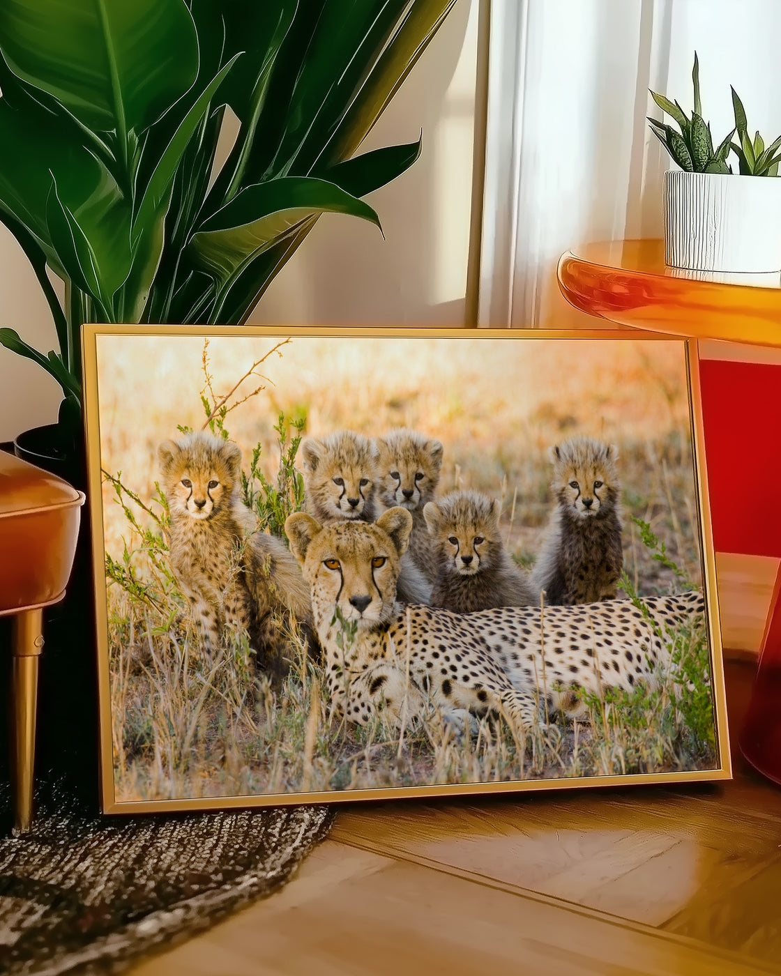 canvas