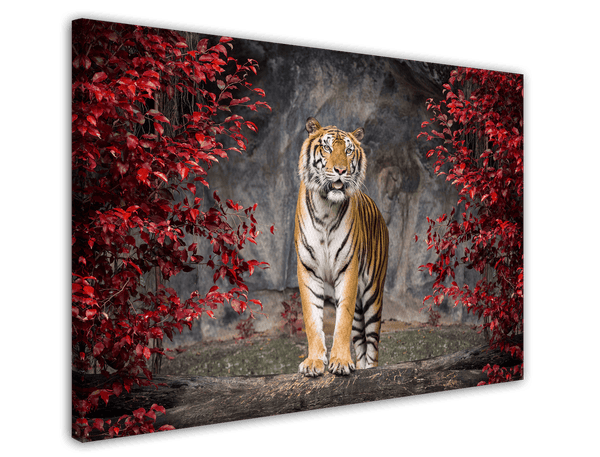 Tiger in Herbstlandschaft