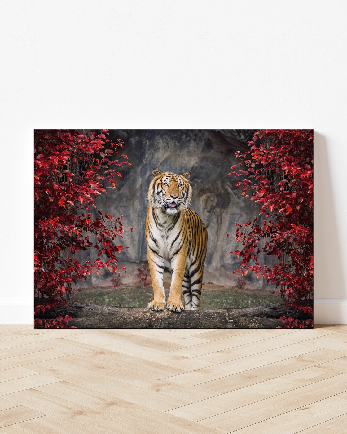 stretched-canvas