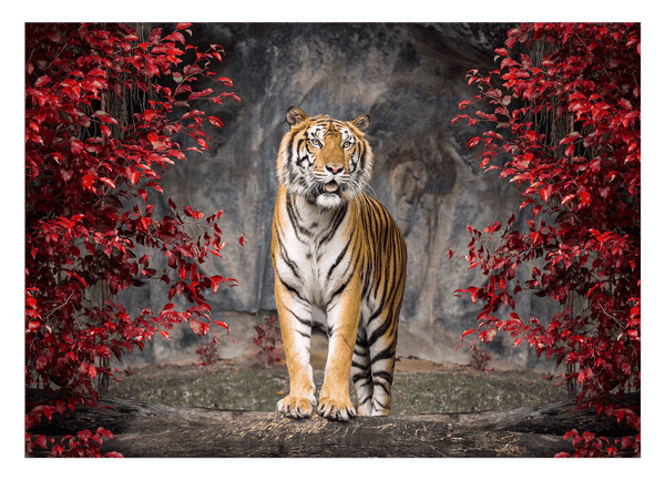 Tiger in Herbstlandschaft