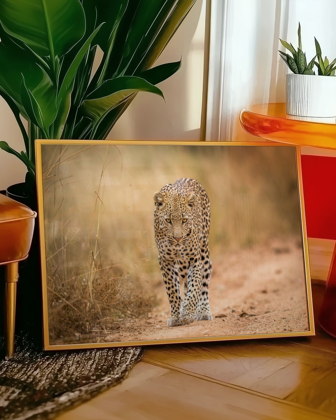 canvas