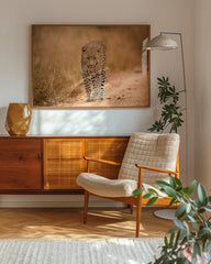 After Hover: Leopard in der Savanne