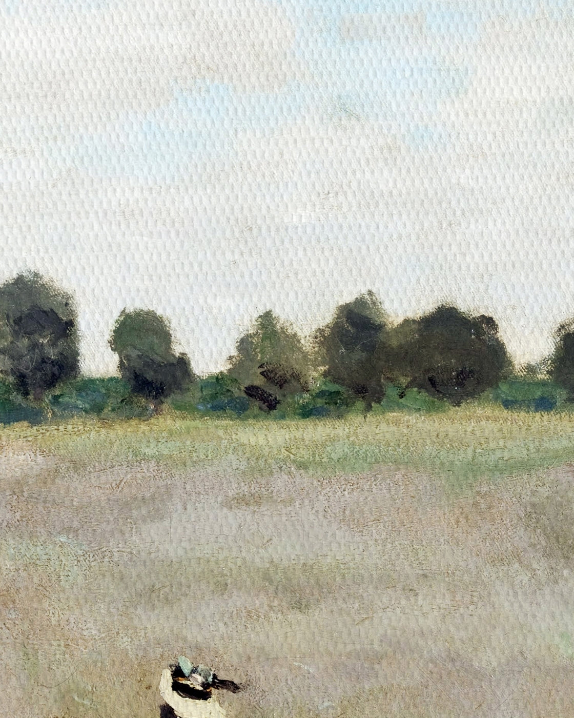 canvas