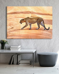 After Hover: Leopard
