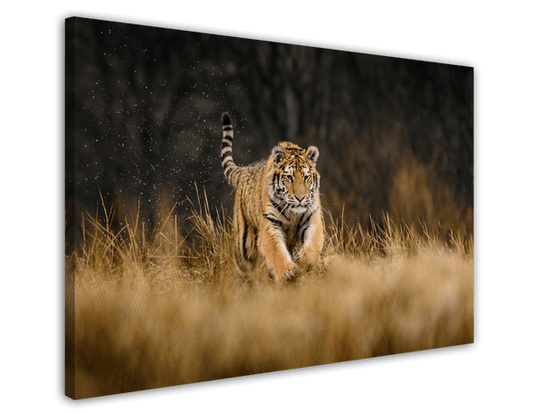 Rennender Tiger