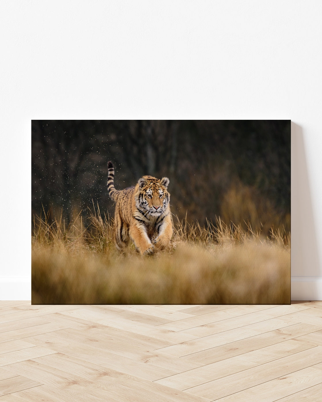 stretched-canvas