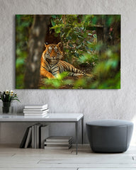After Hover: Tiger im Regenwald