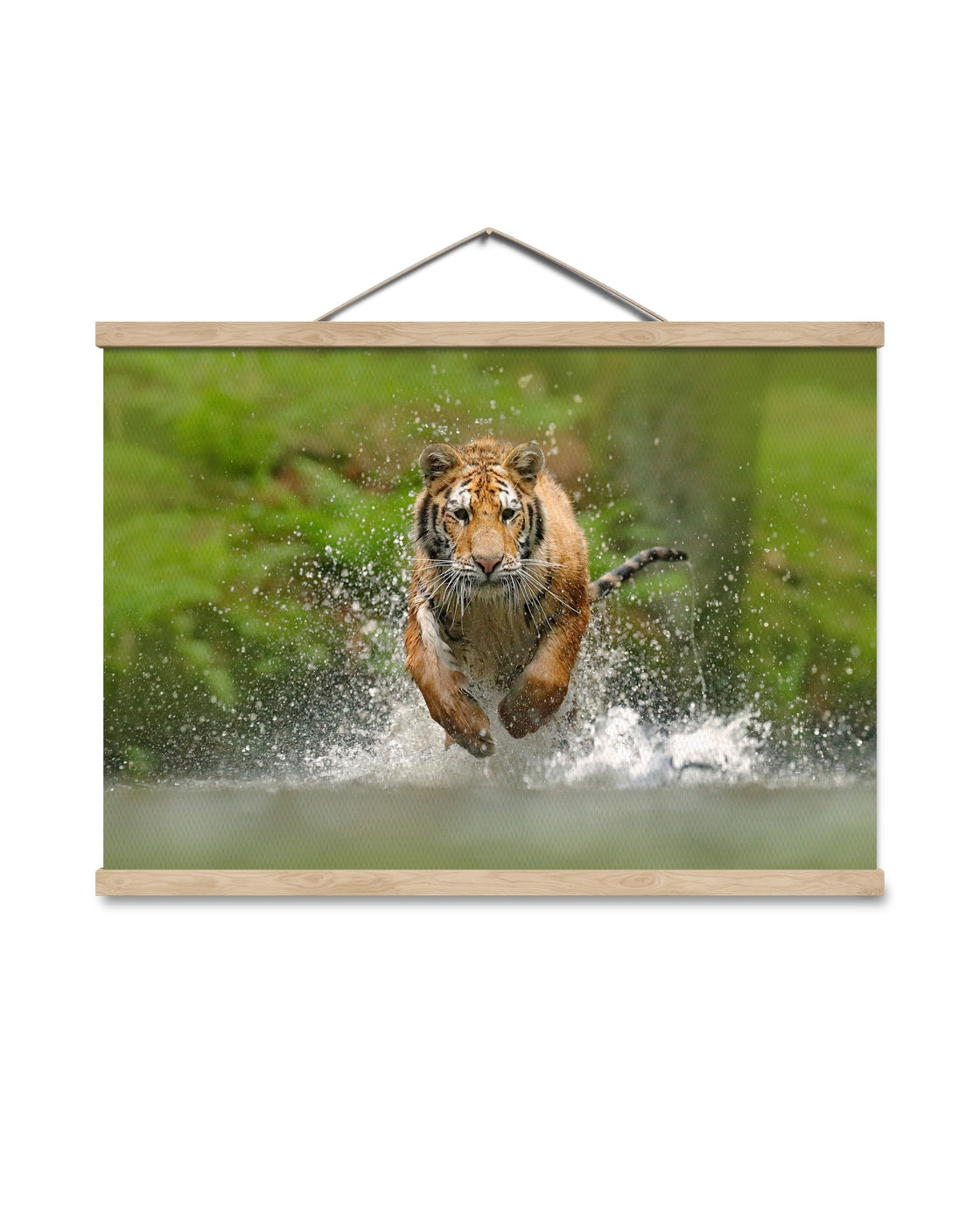 canvas
