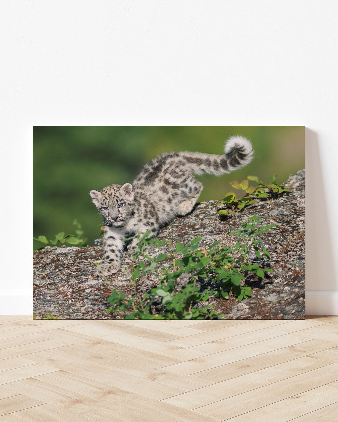 stretched-canvas