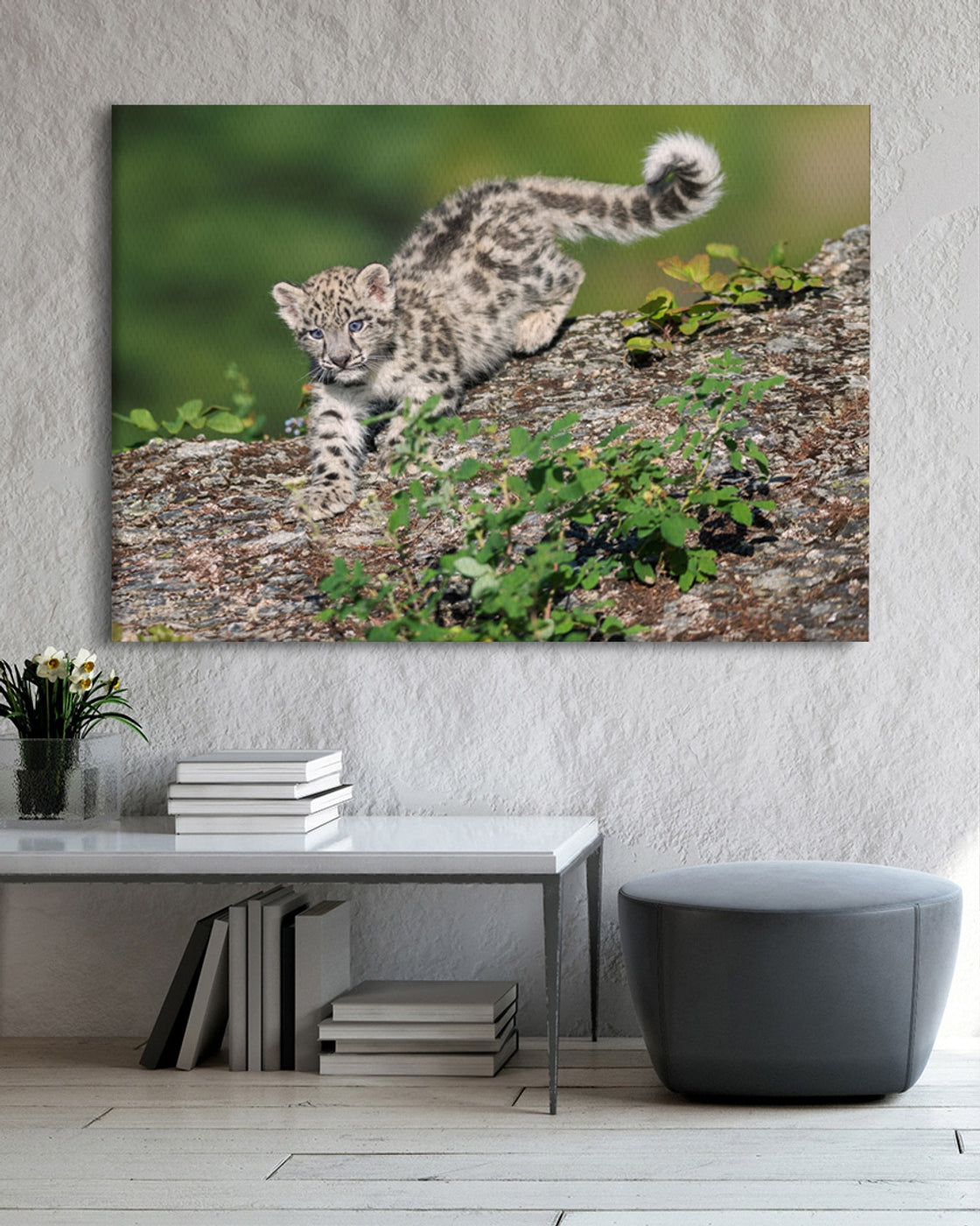 stretched-canvas
