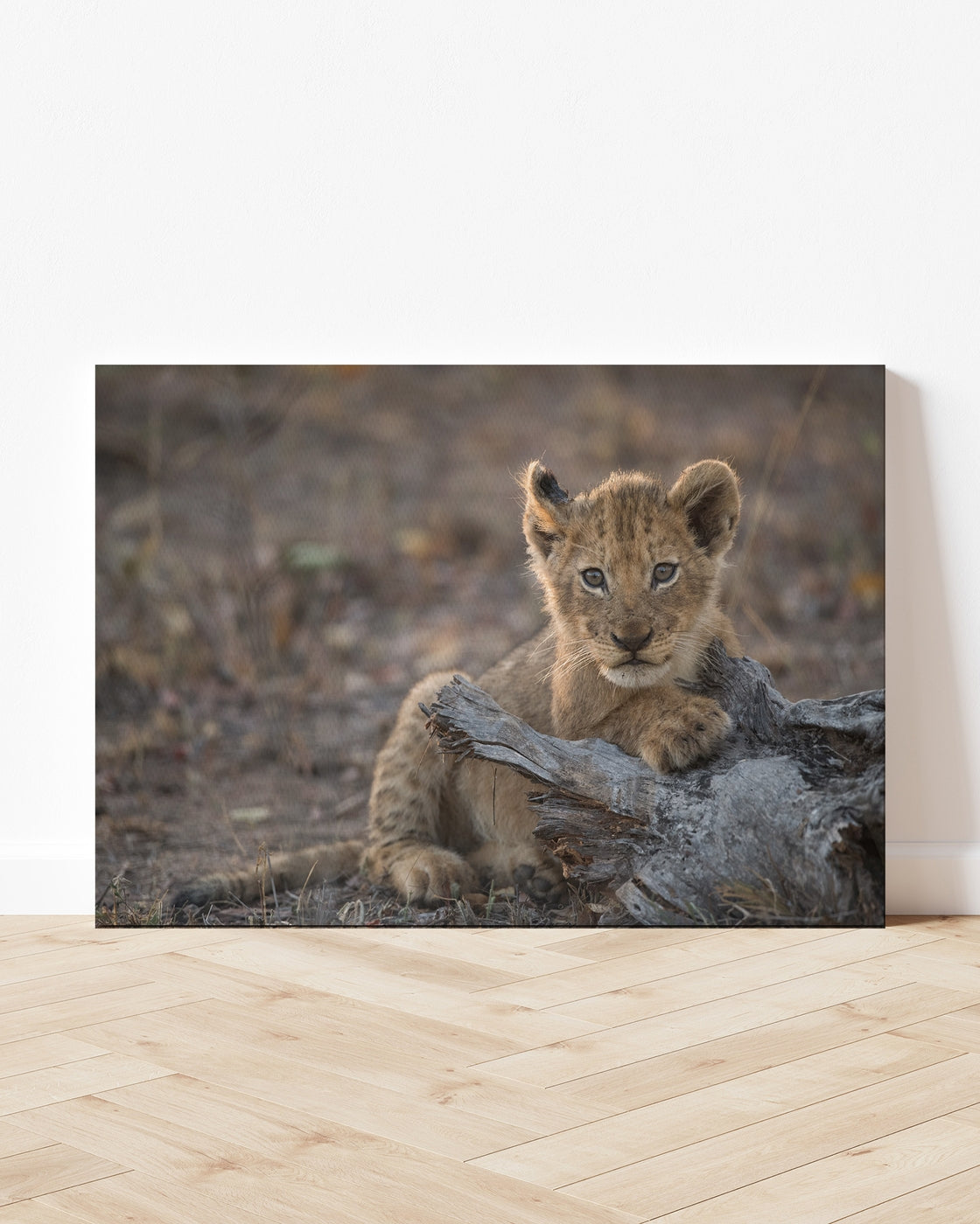 stretched-canvas