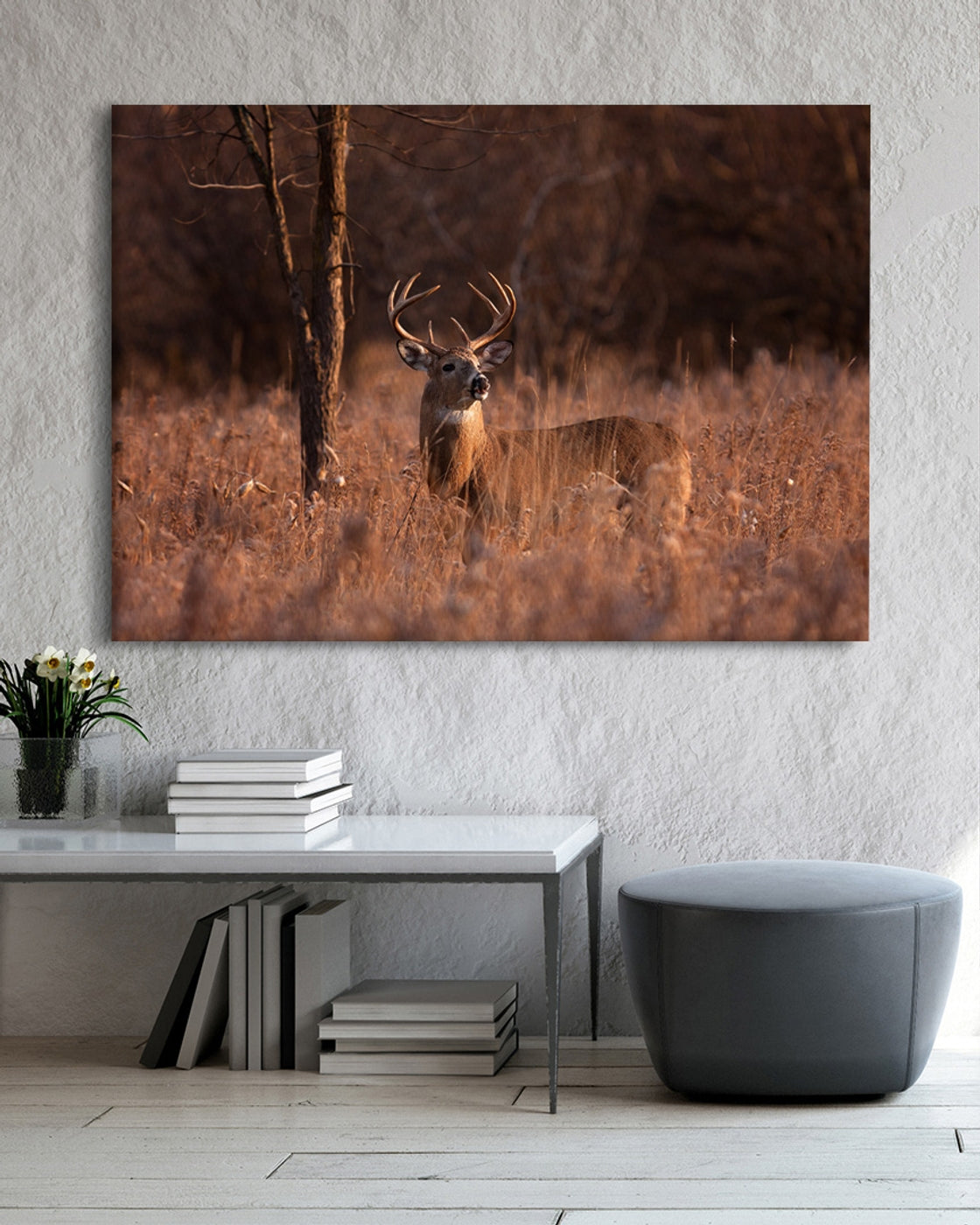 stretched-canvas