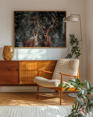 After Hover: Hirsch-Paar im Winter