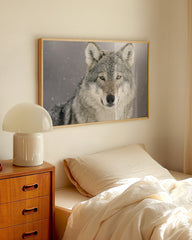 After Hover: Wolf im Schnee