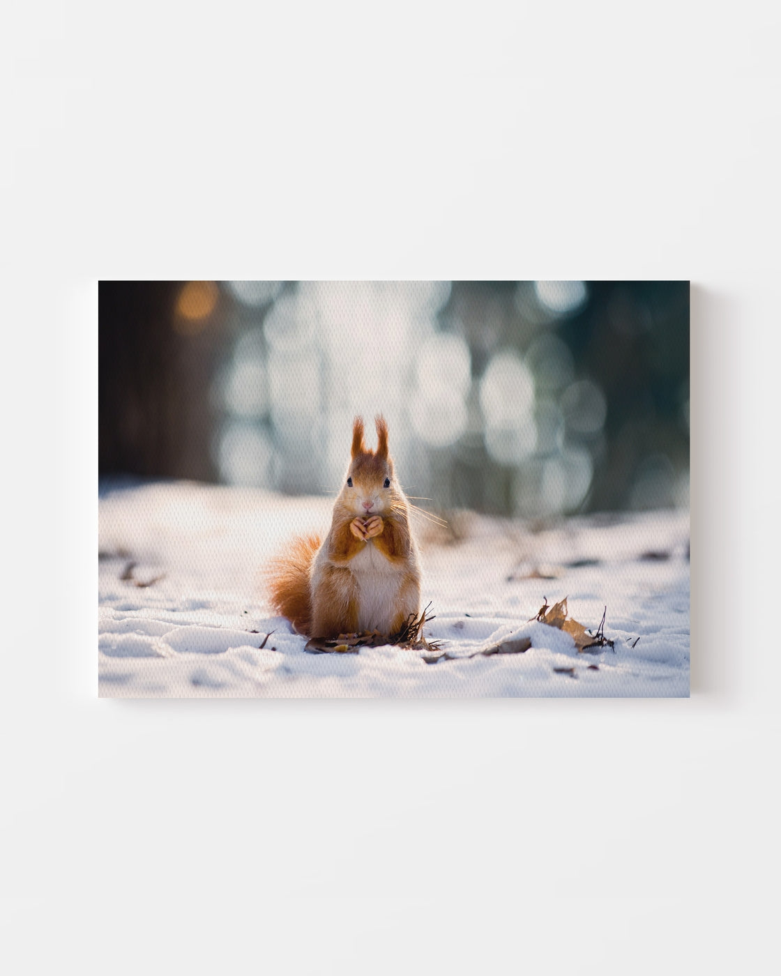 stretched-canvas