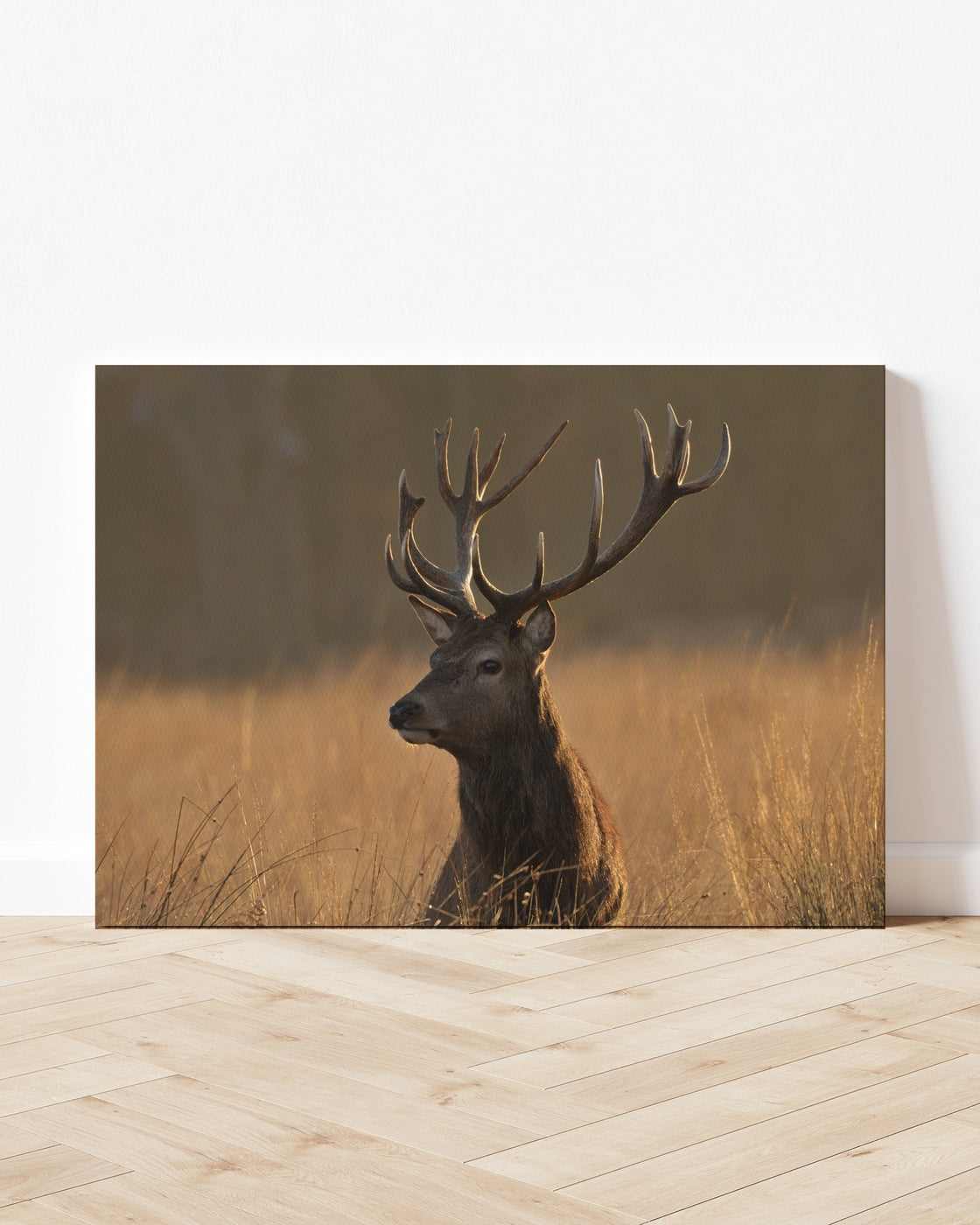 stretched-canvas
