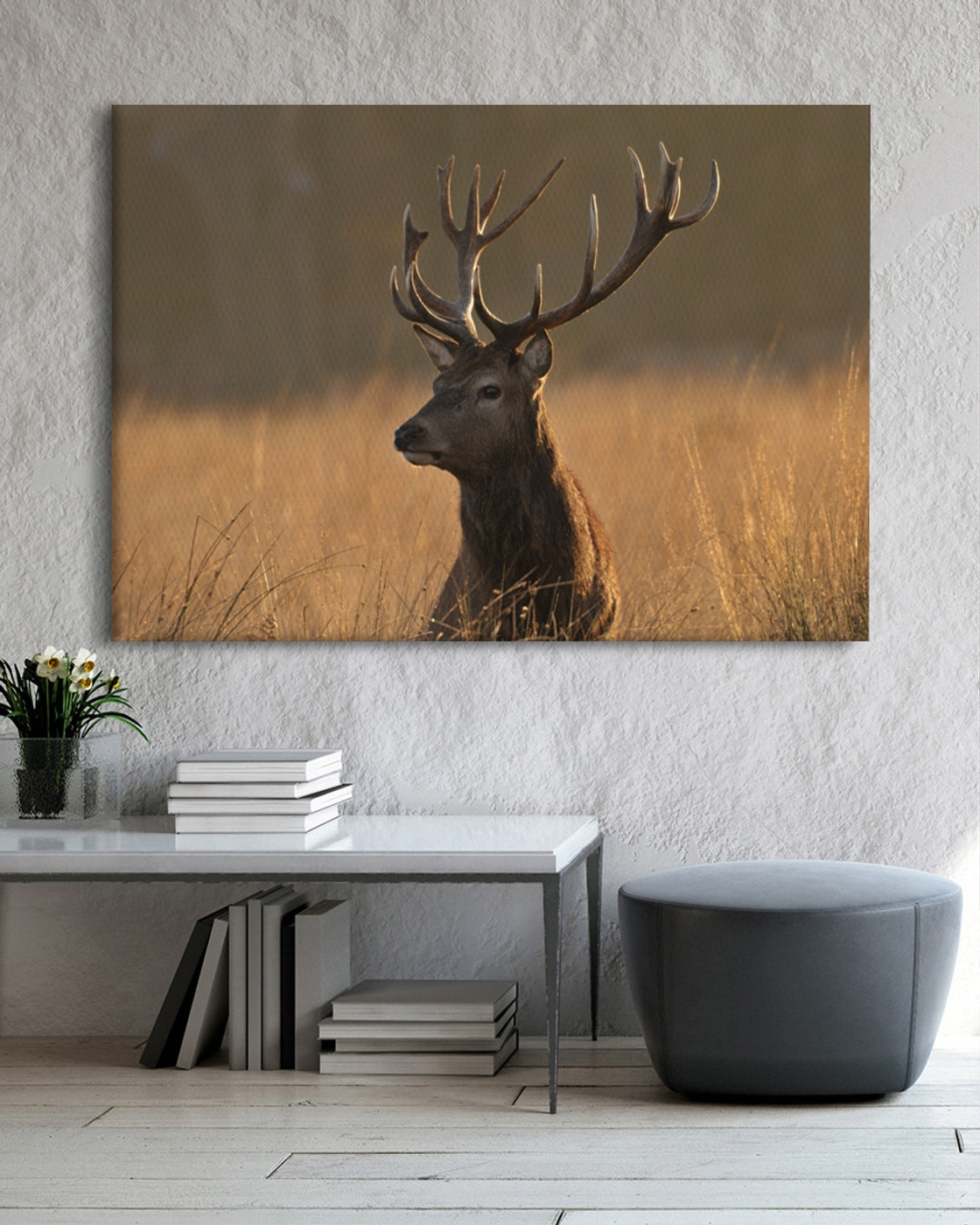 stretched-canvas