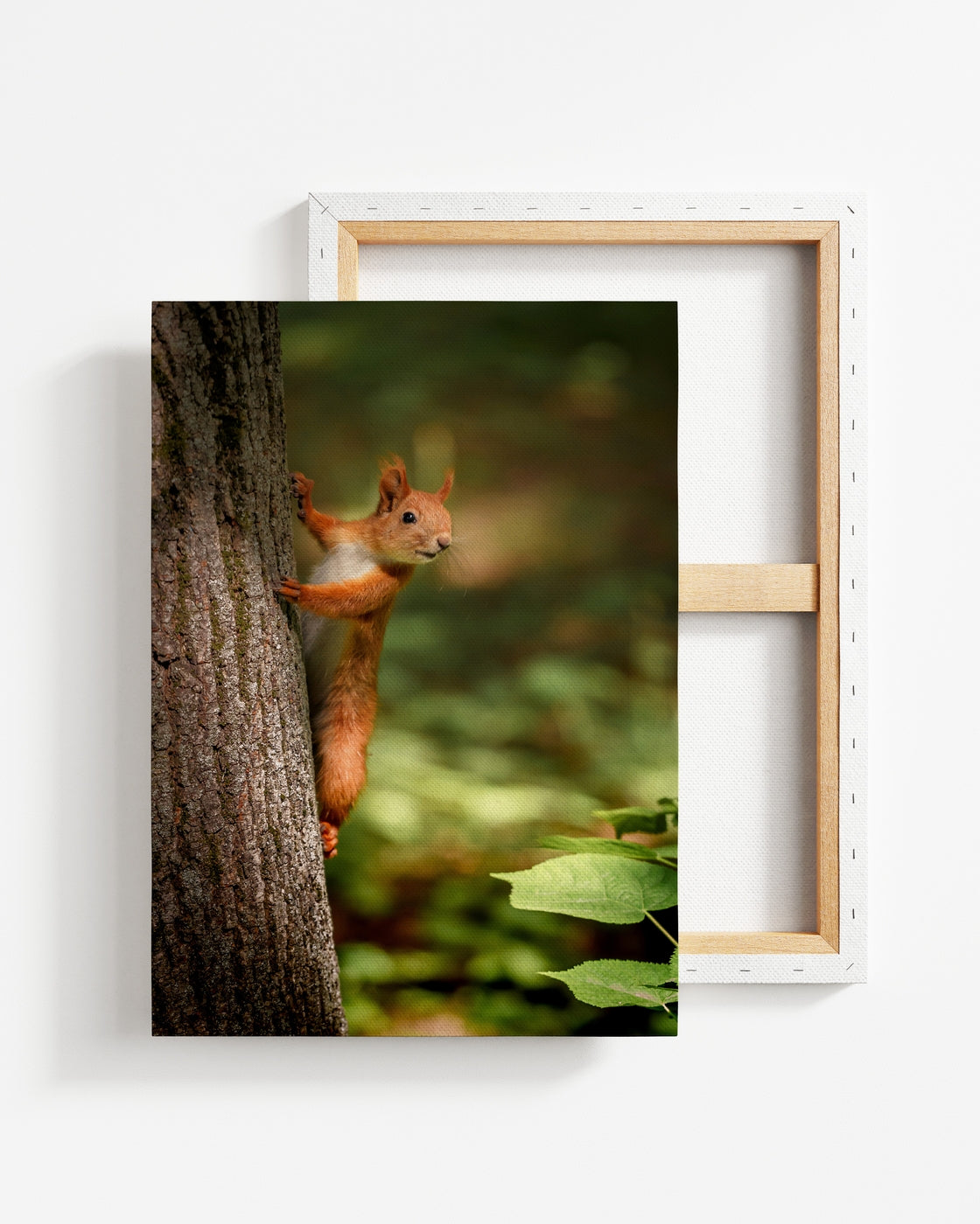 stretched-canvas
