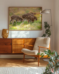 After Hover: Wildschwein Frischlinge