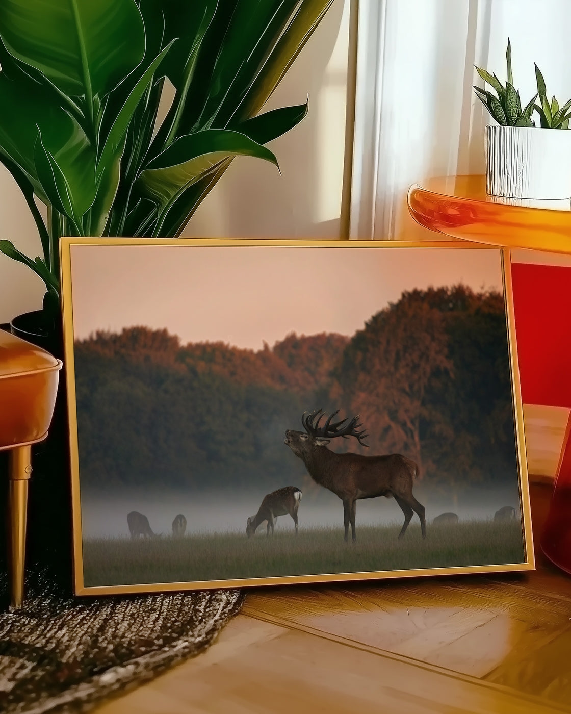 canvas