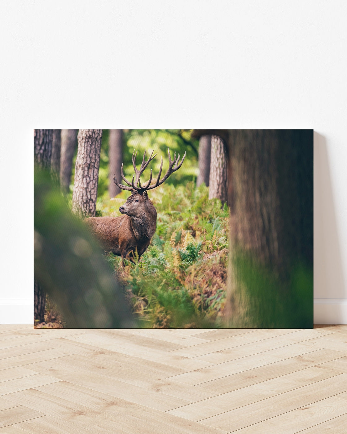 stretched-canvas