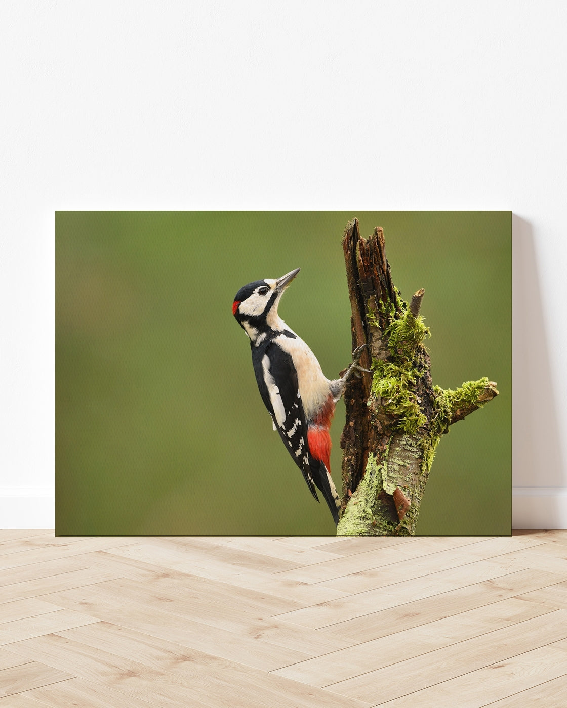 stretched-canvas