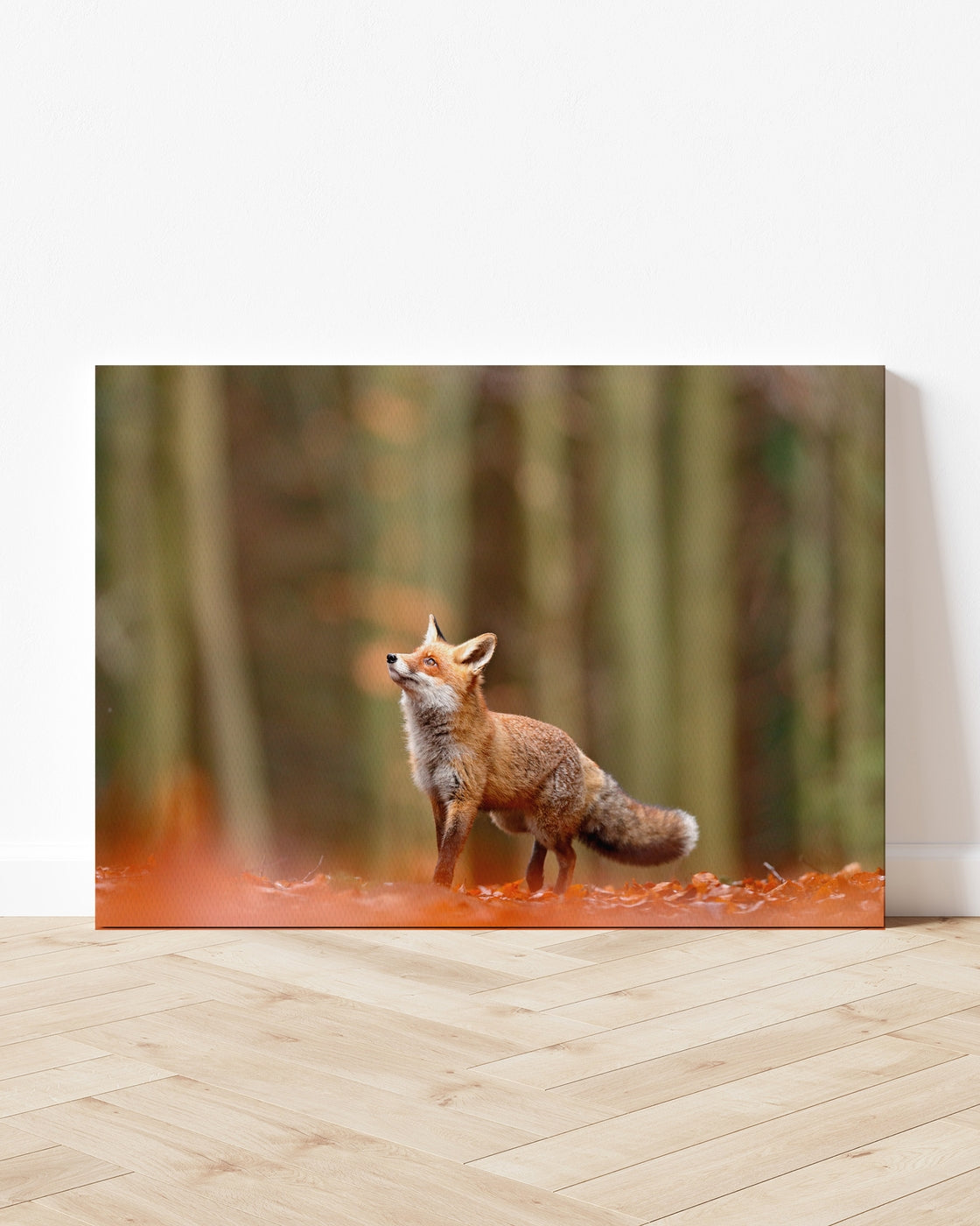 stretched-canvas