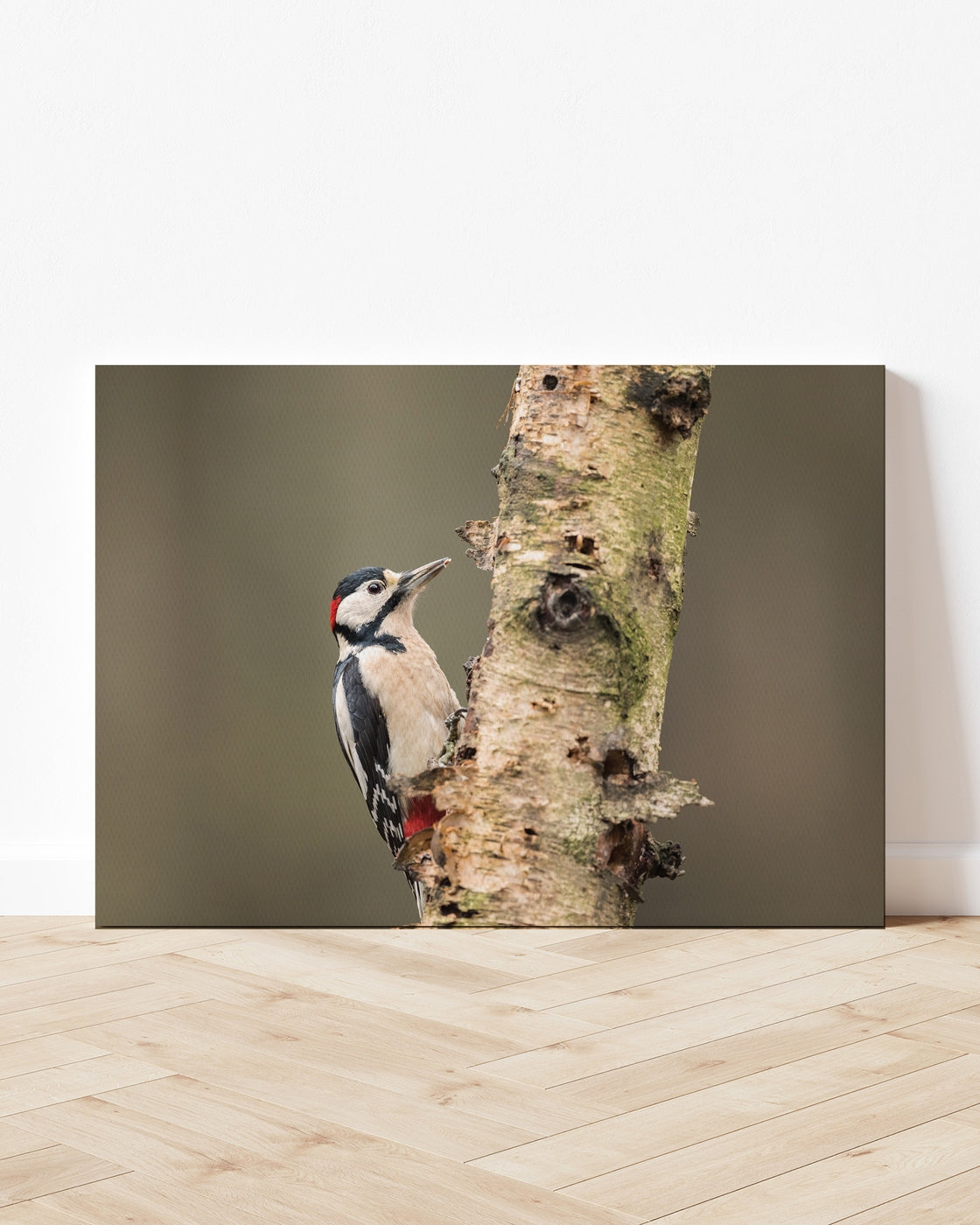 stretched-canvas