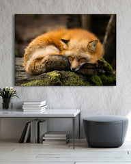 After Hover: Schlafender Fuchs