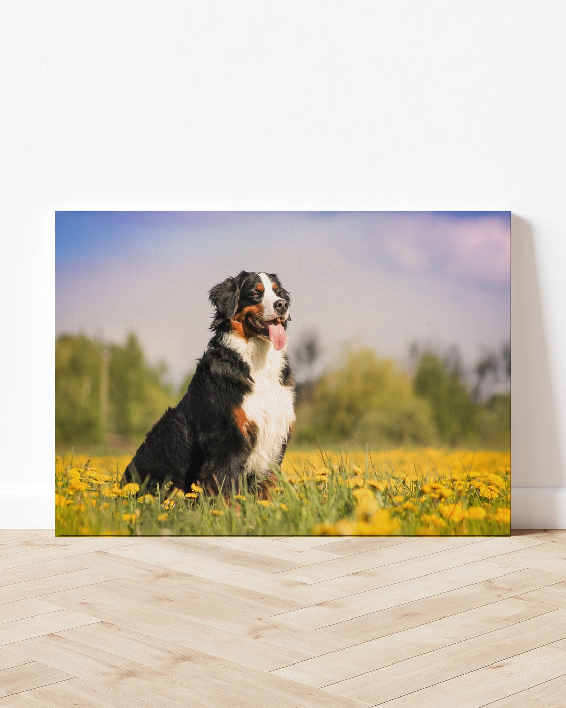 stretched-canvas