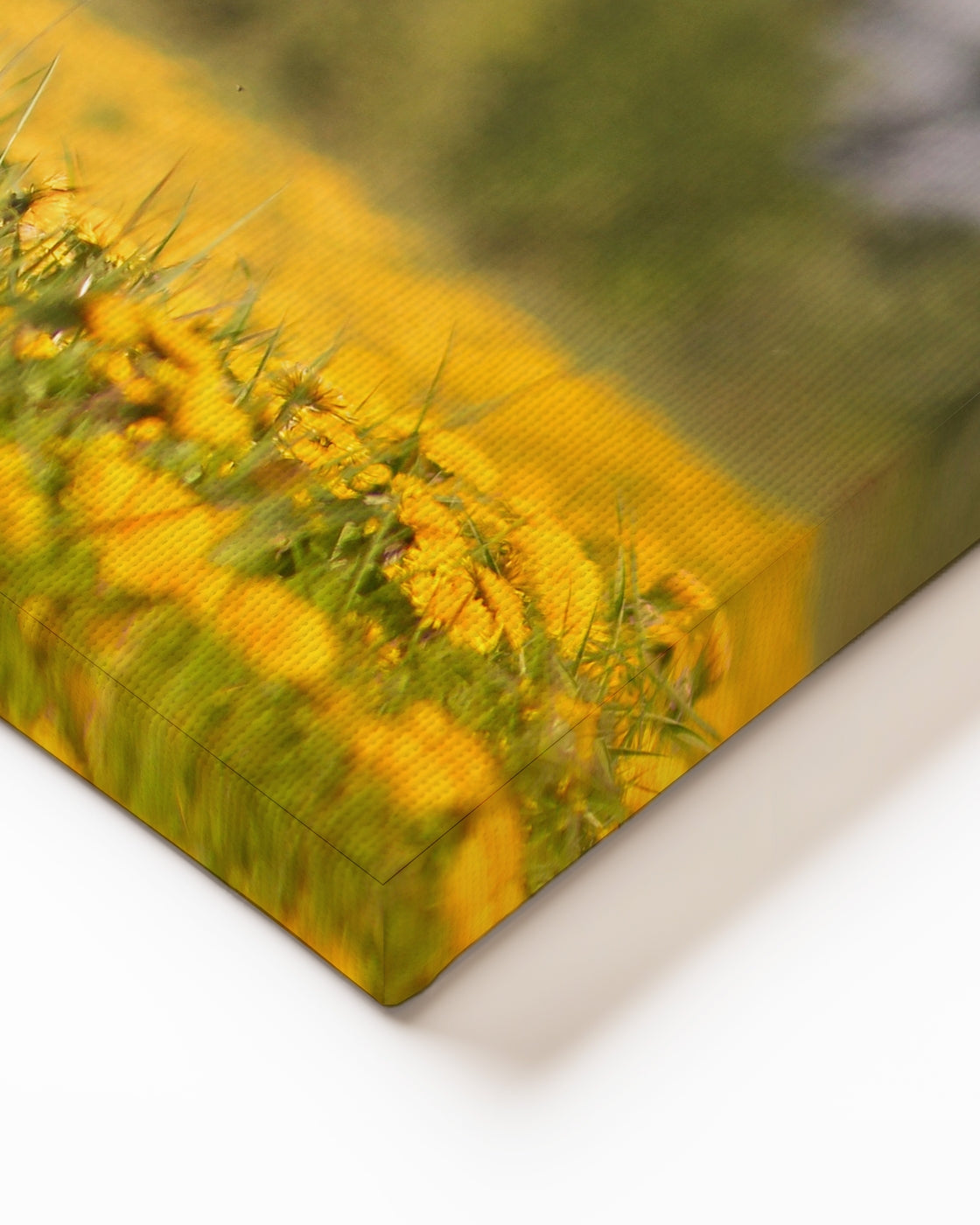 stretched-canvas