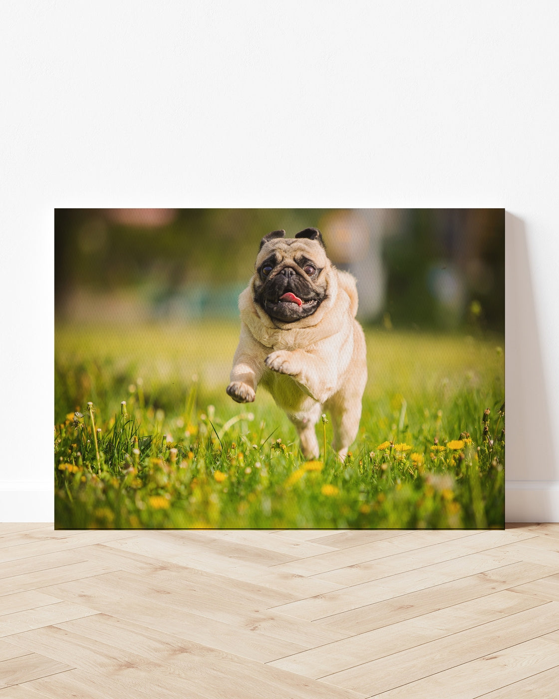 stretched-canvas