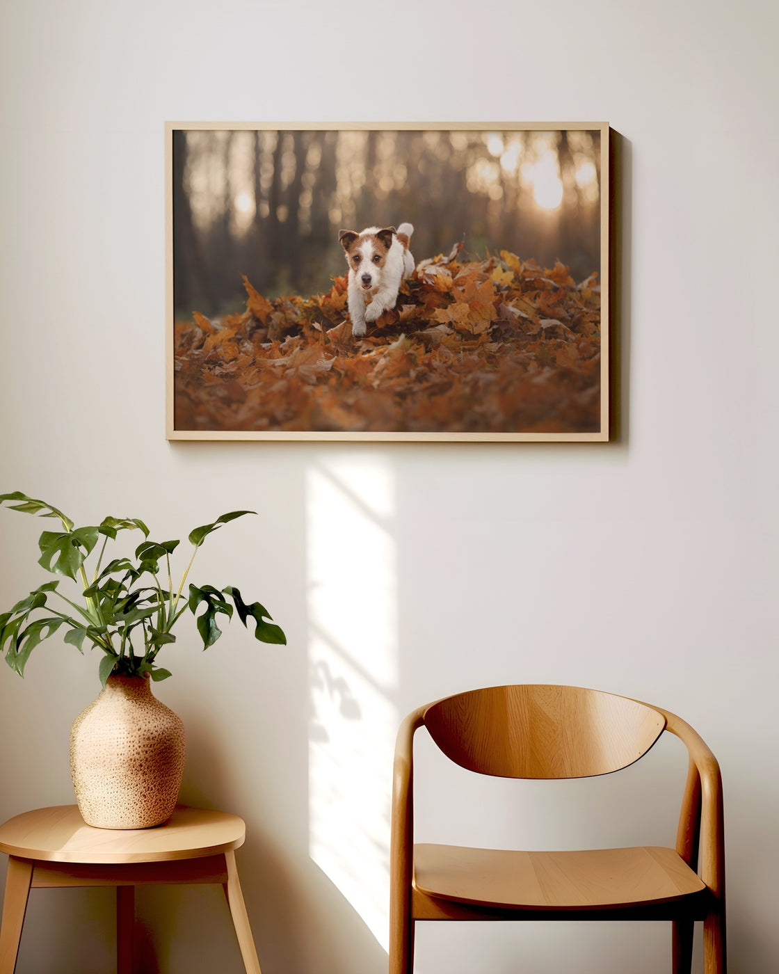 canvas