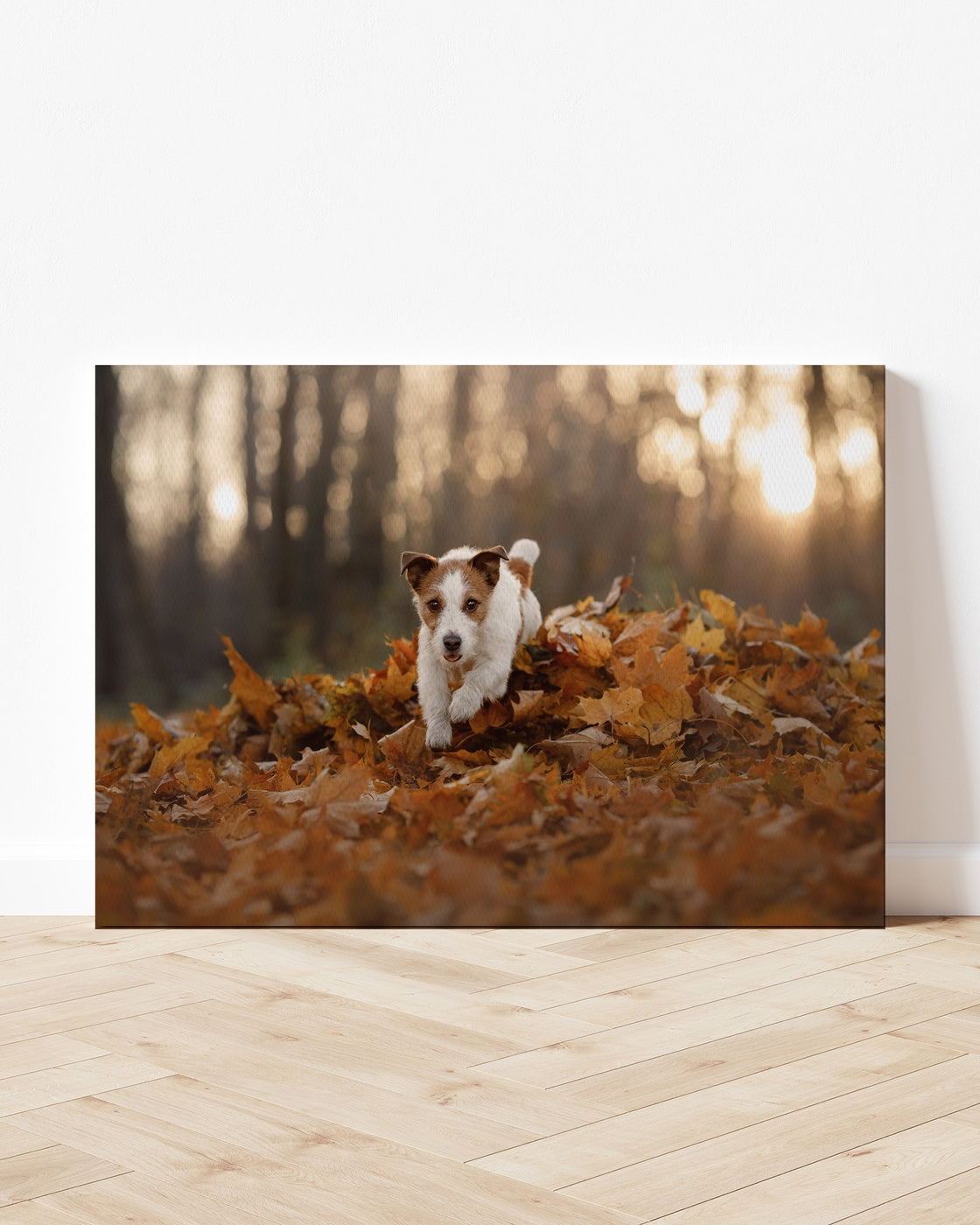 stretched-canvas