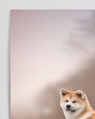 After Hover: Akita Inu am Wasser
