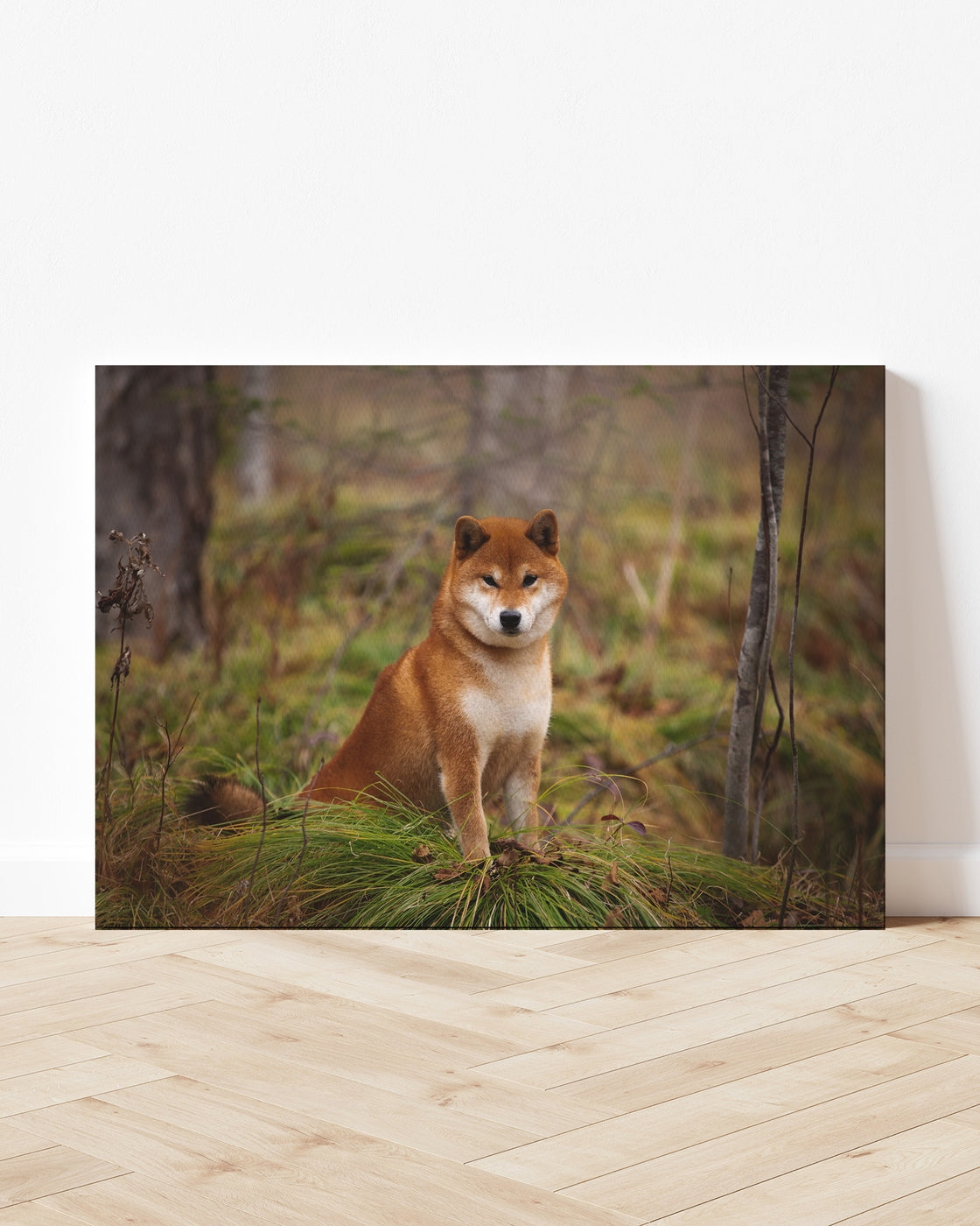 stretched-canvas