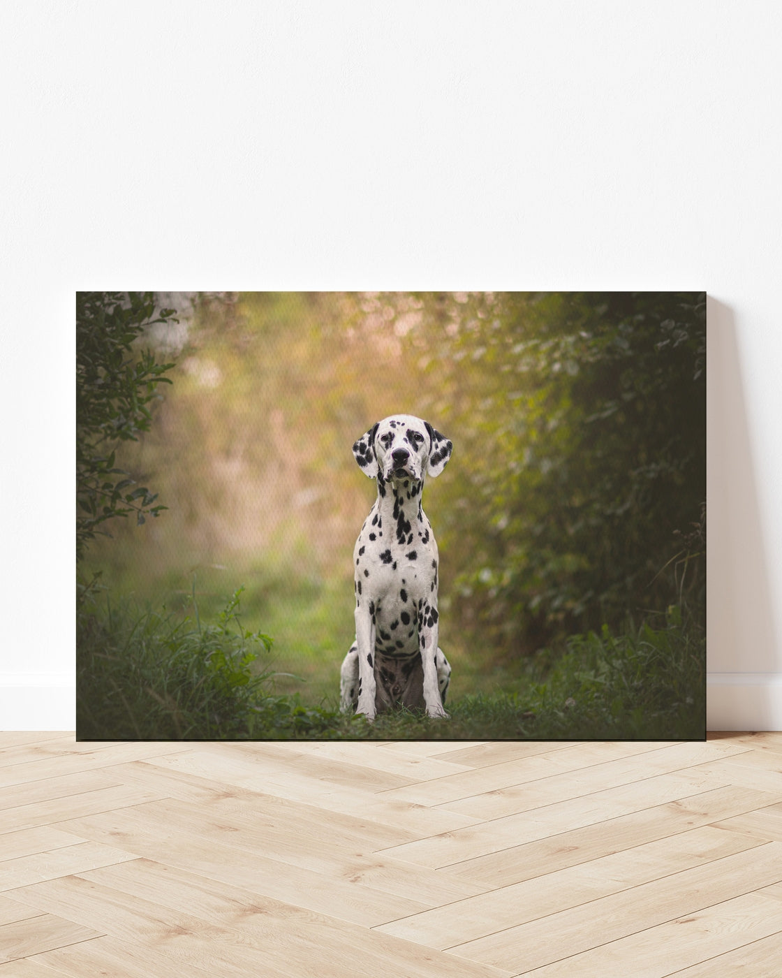 stretched-canvas