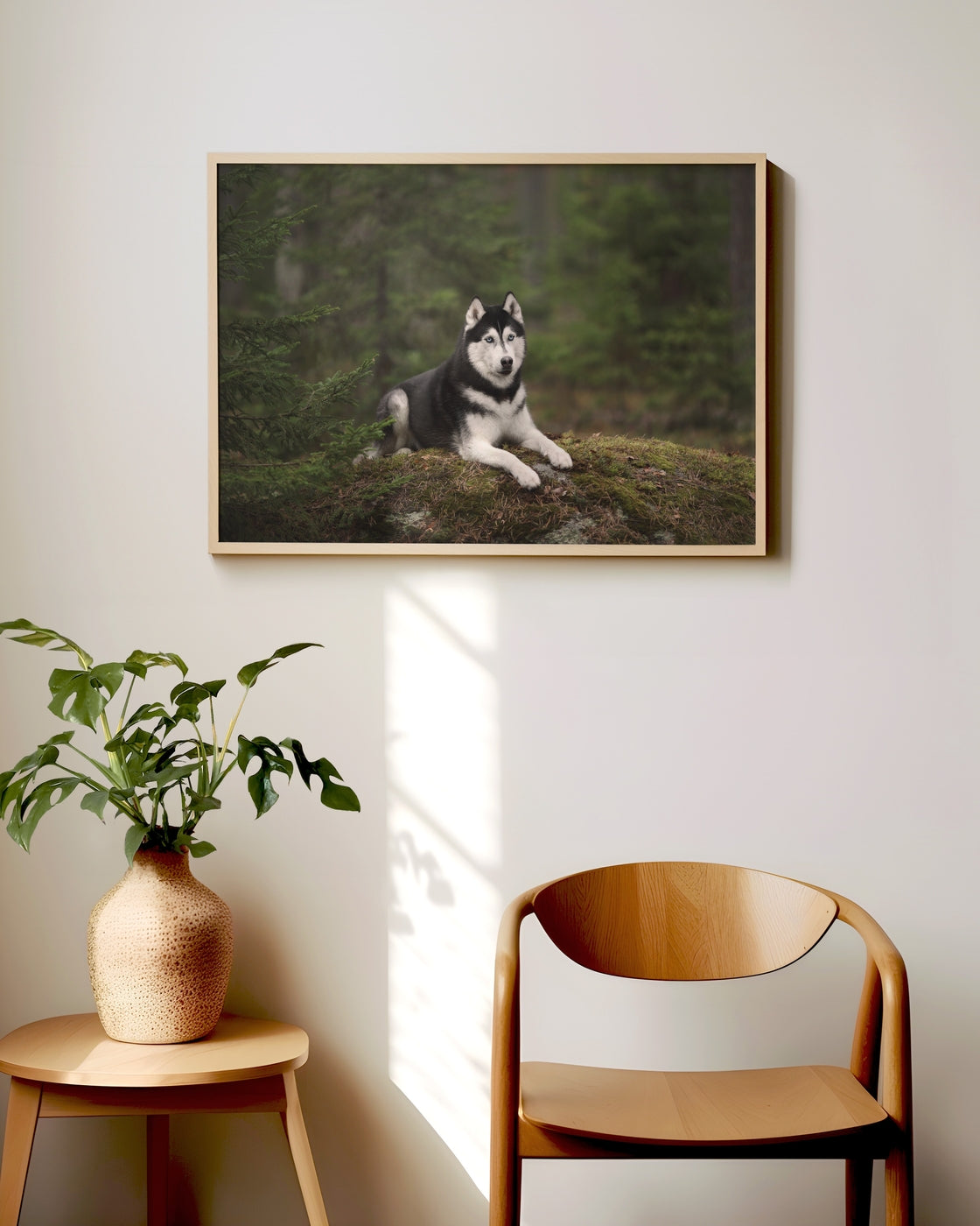 canvas