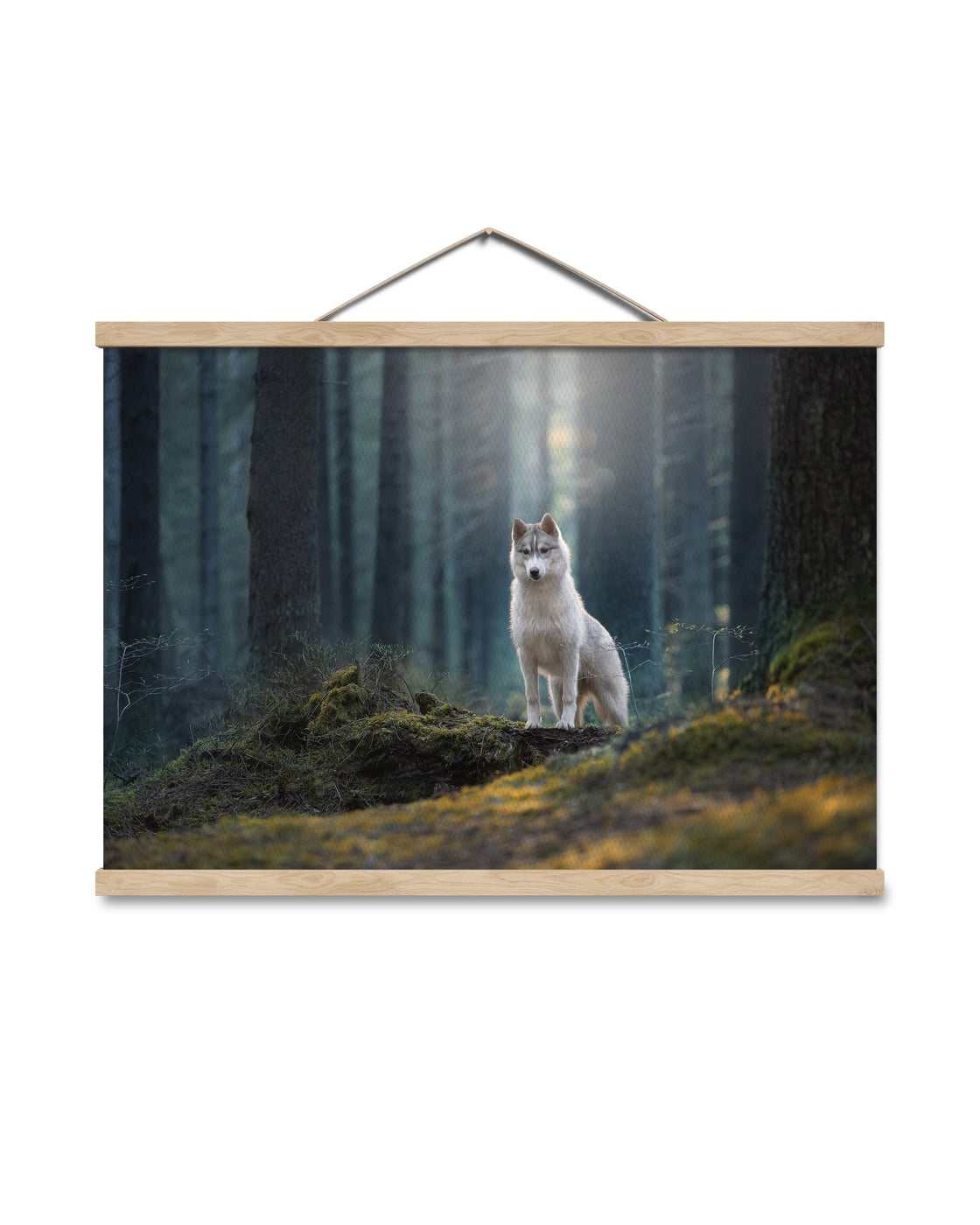 canvas