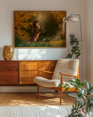 After Hover: Dackel im Wald