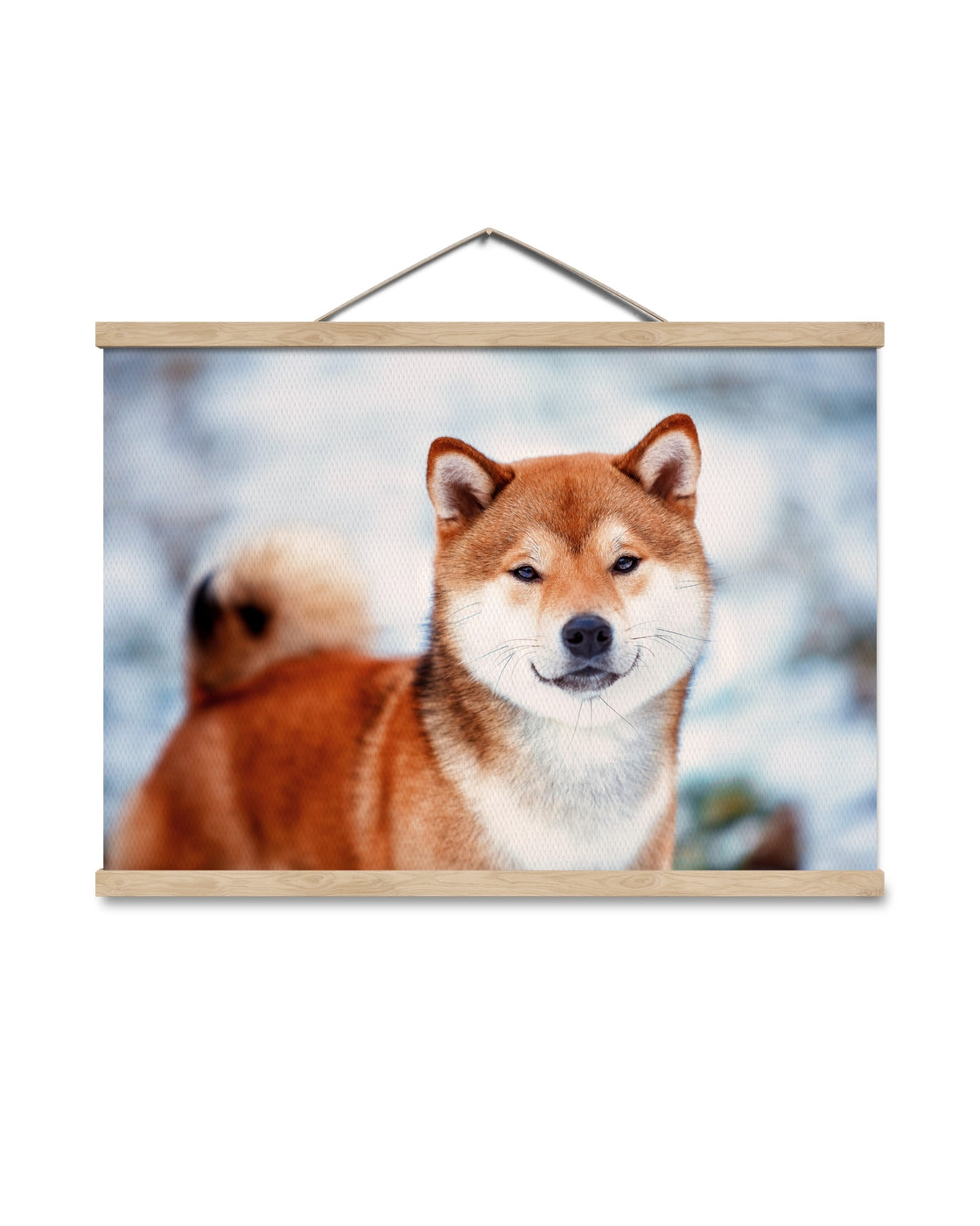 canvas