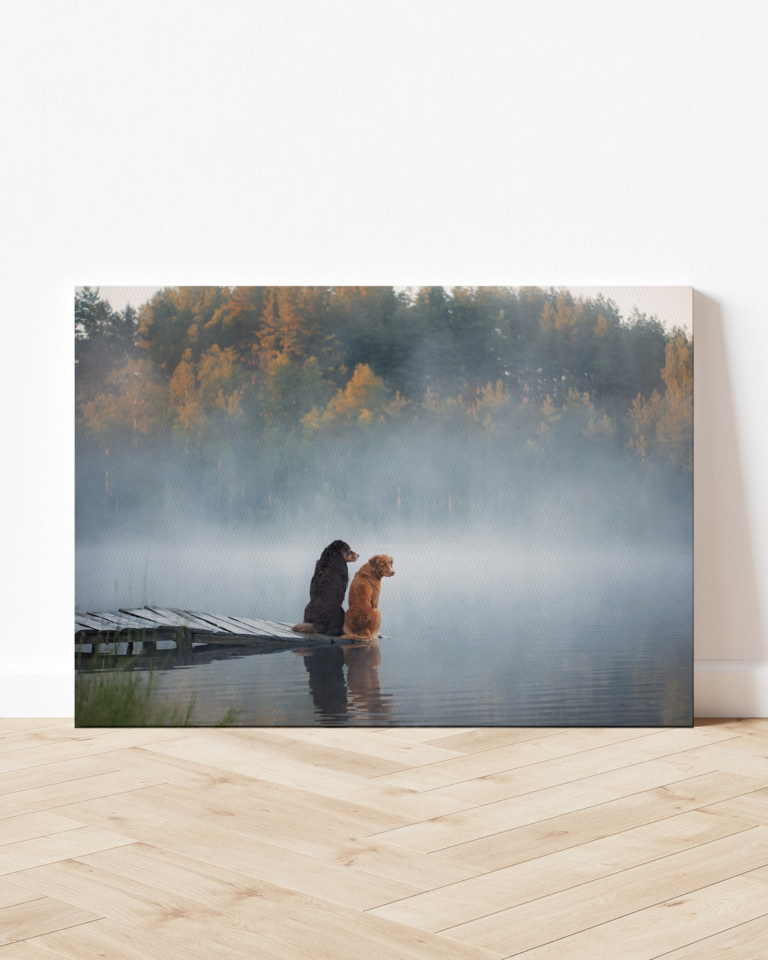 stretched-canvas